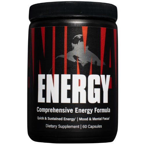 Animal Energy